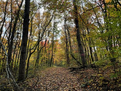 0 Revenge Rd SW unit 20 221045212, Lancaster, OH 43130 - photo 4