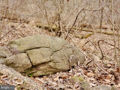 0 Harris Hollow Rd unit VARP107798, Washington, VA 22747 - photo 5