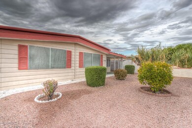Easy Maintenance Landscaping