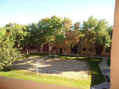 Patio courtyard view