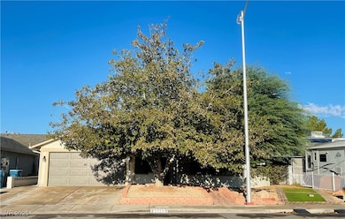 View of property hidden behind natural elements with driveway and an attached garage