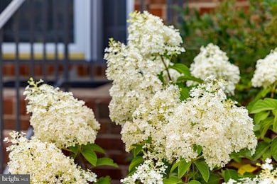 1706 Central Ave, Harrisonburg, VA 22801 - photo 3