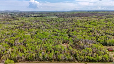 Aerial view of a heavily wooded area