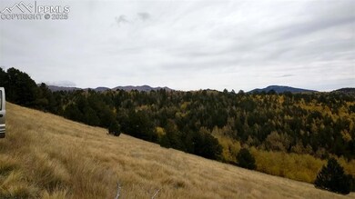 View of mountain backdrop featuring a forest