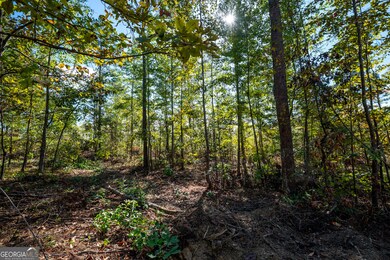 3785 Hwy 140 NE, Rydal, GA 30171 - photo 5