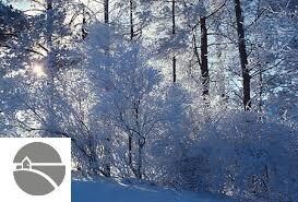 . N Walnut, Bitely, MI 49309 - photo 2