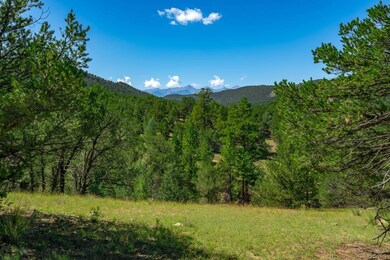 Lot 9 Sundance Rd, Cotopaxi, CO 81223 - photo 5