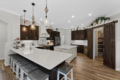 6007 Hammock Hill Ave, Lithia, FL 33547 - photo 6