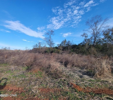 TBD Gainer Cemetery Rd, Graceville, FL 32440 - photo 2