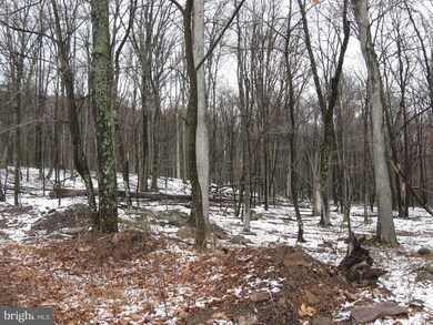 0 Off Cold Run Valley Rd unit 1000289098, Berkeley Springs, WV 25411 - photo 5