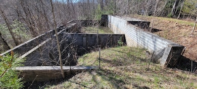 130 Richter Dr, Topton, NC 28781 - photo 3