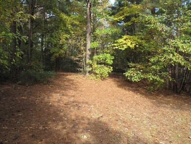 Another view