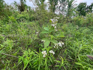 12524 Aboite Rd, Roanoke, IN 46783 - photo 3