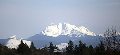 20609 36th Ave NW, Stanwood, WA 98292 - photo 2