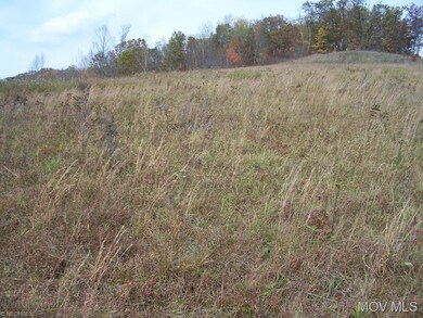 More open land