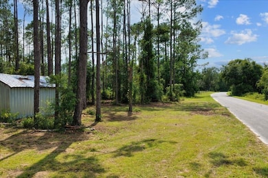 2759 SW Wonderwood St, Greenville, FL 32331 - photo 5