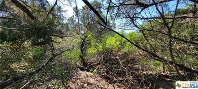 15987 Salado Dr, Temple, TX 76502 - photo 6