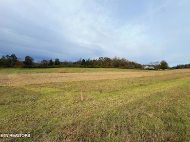 0 Haws Rd unit 1, Knoxville, TN 37920 - photo 3