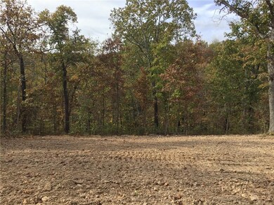 66 Wandsworth Dr, Bella Vista, AR 72715 - photo 6