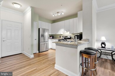 The Fitz at Rockville Town Center, Rockville, MD 20850 - photo 6