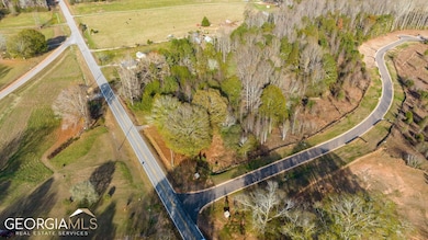 5440 Oak Manor Way unit LOT 10, Murrayville, GA 30564 - photo 4