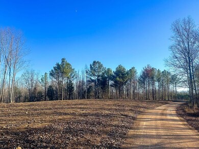 0 Firetower Rd unit 4, Centerville, TN 37033 - photo 7