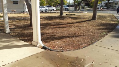 Front yard