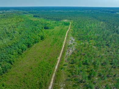 Hunting Swamp Rd, Conway, SC 29526 - photo 5
