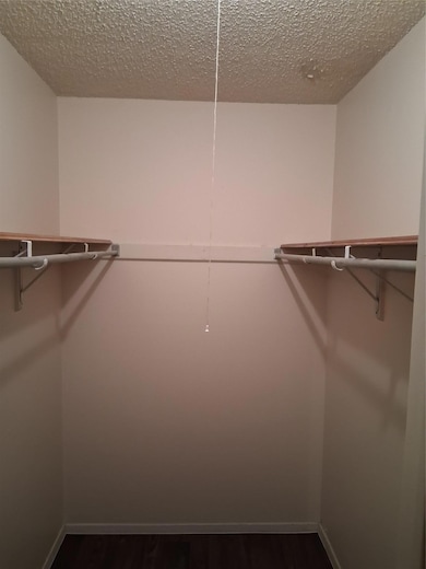 Walk in closet with dark wood finished floors