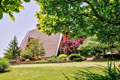 Very Nice Yard, Not Too Much to Take Care of...