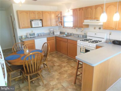 117 E Mohawk Dr, Little Egg Harbor Township, NJ 08087 - photo 5