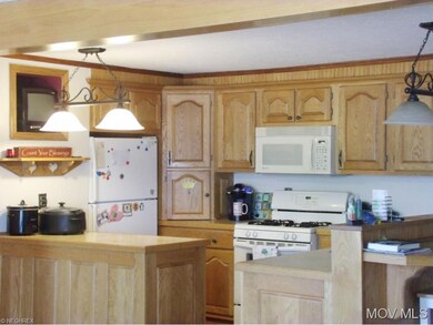 Kitchen view 1