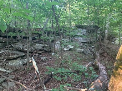 17704 Ferry Rd, Winslow, AR 72959 - photo 7