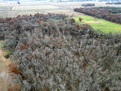 00 Pyrite Dr, Bible Grove, IL 62858 - photo 6