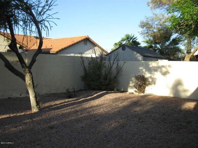Back yard