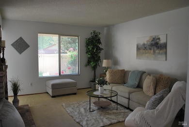 Living Room with a View of the Patio