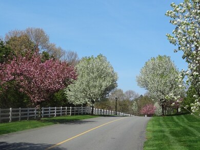 Lot 1 Highwood Ln, Falmouth, MA 02536 - photo 5