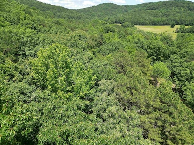 1656 Walnut Valley Rd, Dover, AR 72837 - photo 4