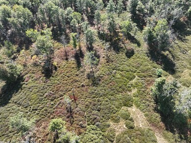 0 Sterling Truck Trail unit 11610290, Sterling, MI 48659 - photo 5