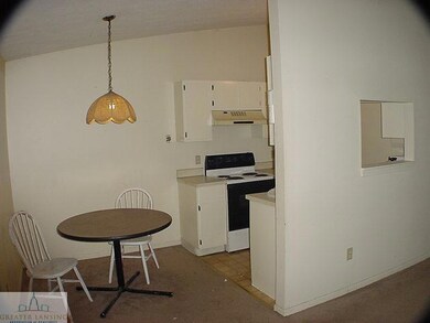 5630 Wise Rd, Lansing, MI 48911 - photo 4