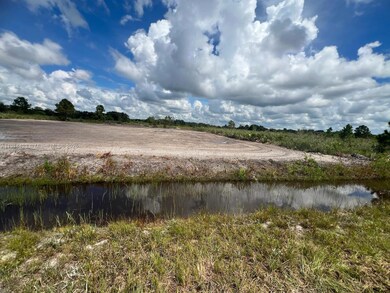 17385 NW 314th St, Okeechobee, FL 34972 - photo 4