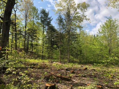 TM12 L29 Blanchard Cross Rd, Bowdoin, ME 04287 - photo 4