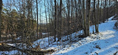 00 Jenkins Rd, Lowman, NY 14861 - photo 6