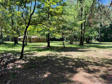 6250 Highway 133, Rison, AR 71665 - photo 4