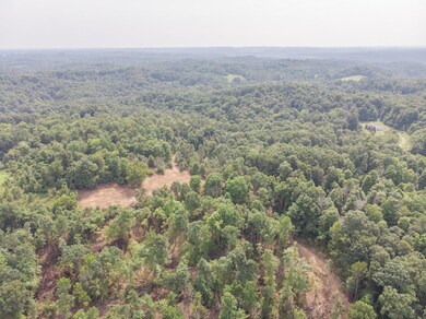DJI_0110-2