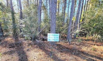 Section 9, Block 5, Lot 25