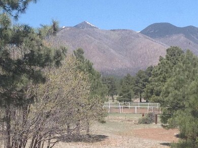 AMAZING PEAK VIEWS