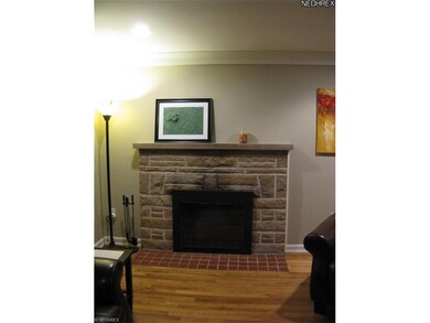 Fireplace in Living Room
