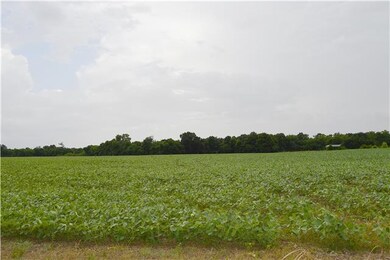 Grow some soy beans!