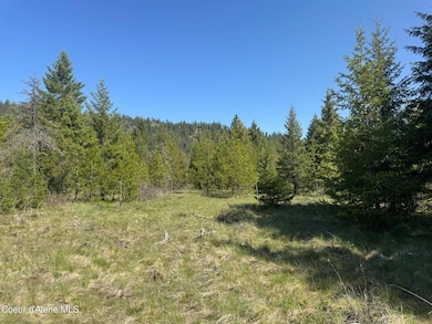 NNA Backroads Way Lot 3, Priest River, ID 83856 - photo 3